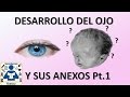 Embriologia desarrollo del ojo y sus derivados parte 1
