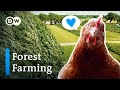 Agroforestry and Sustainable Agriculture