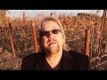 David Pack | Napa Crossroads