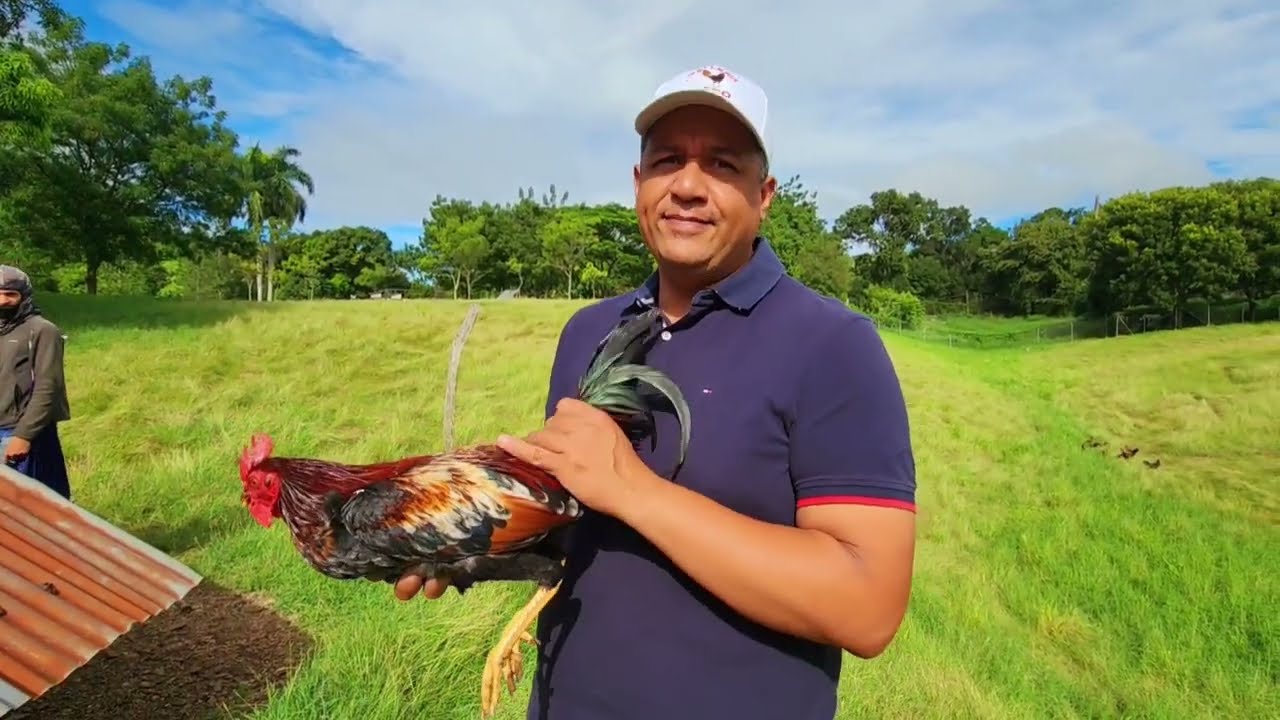 Bienvenidos a la Serie de Videos con Willy Checo desde San José de las matas