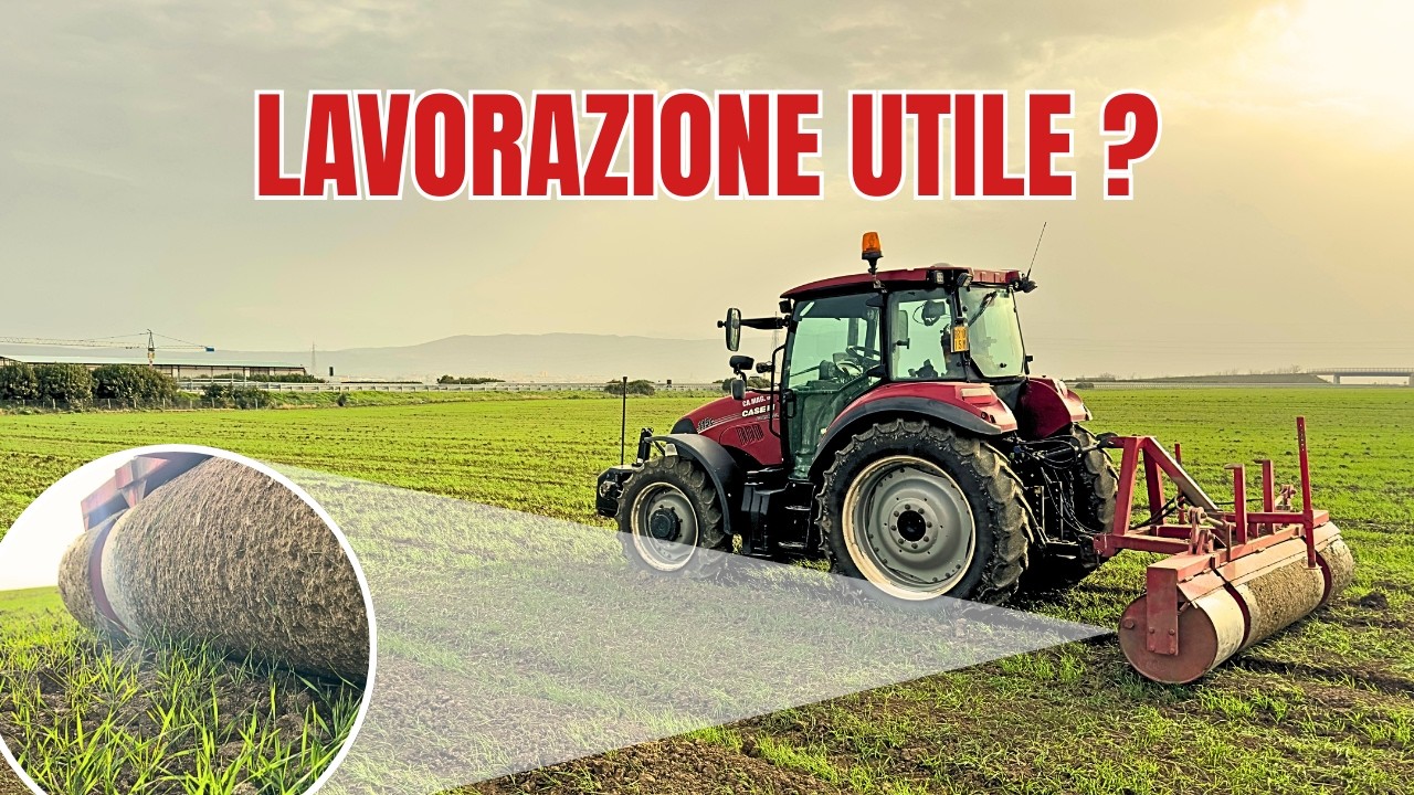 NON SAPEVI DI DOVERLO FARE - LAVORAZIONE STRAORDINARIA