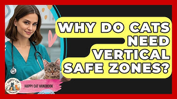 Why Do Cats Need Vertical Safe Zones? - Happy Cat Handbook