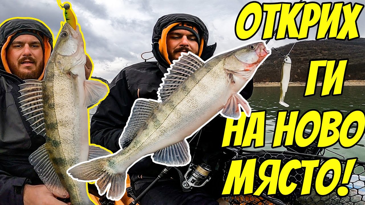 ДЪЖД, СНЯГ И РИБОЛОВ НА ХИЩНИЦИ. НАПИПАХ БЕЛИТЕ РИБИ НА ГЪСТО