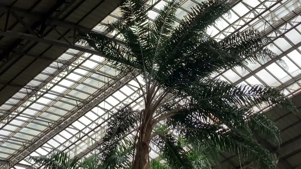 Tropical Garden in Atocha Train Station, Madrid