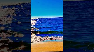 Florida Beach Days: A Cinematic Escape