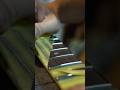 Fender Japan JVシリアル 【ASMR】