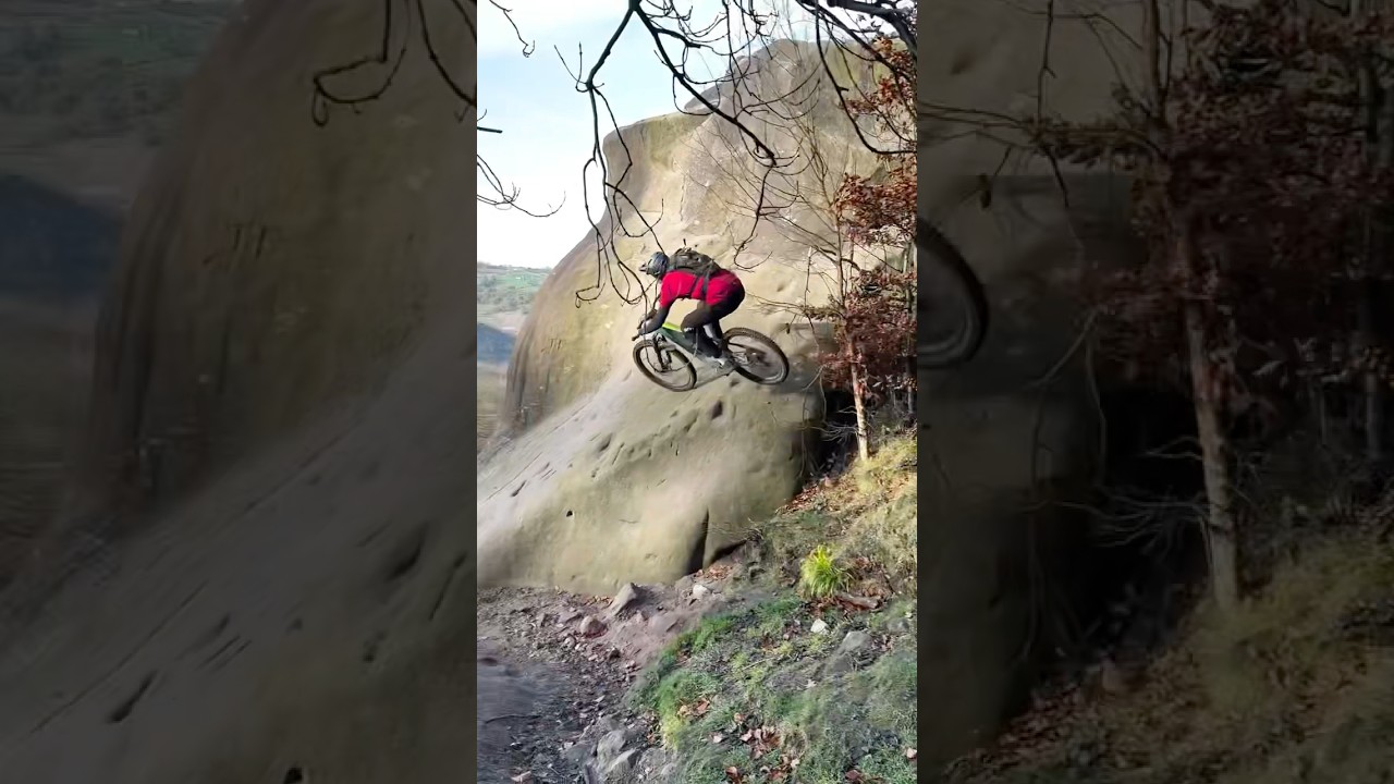 Rat riding rocks #50to01 #mtb #bike
