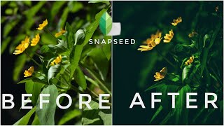 Make attractive flower images with snapseed photo editor screenshot 5