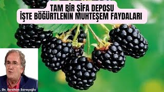 Böğürtleni̇n Faydalari Nelerdi̇rböğürtlen Çayi Faydalariböğürtlen Yapraği Faydalarineye İyi̇ Geli̇r