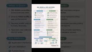 “SD-WAN vs SD-Access”#ccna #ccnp #networking #sdwan #sdaccess #cisco  #itjobs #techskills #trending