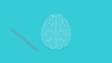 Intro to K2View Fabric