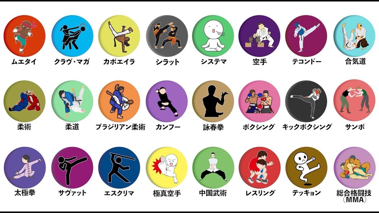 あらゆる種類の格闘技を17分で解説する【全解説】 - YouTube