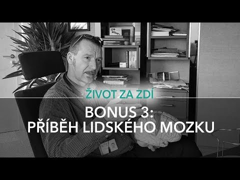 Video: 15 Neuvěřitelných Citátů O Mozku A Jeho Práci Od Profesora Černigova - Alternativní Pohled