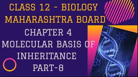 Molecular basis of inheritance |   12th Biology| Maharashtra Board| Chapter 4| part 8|
