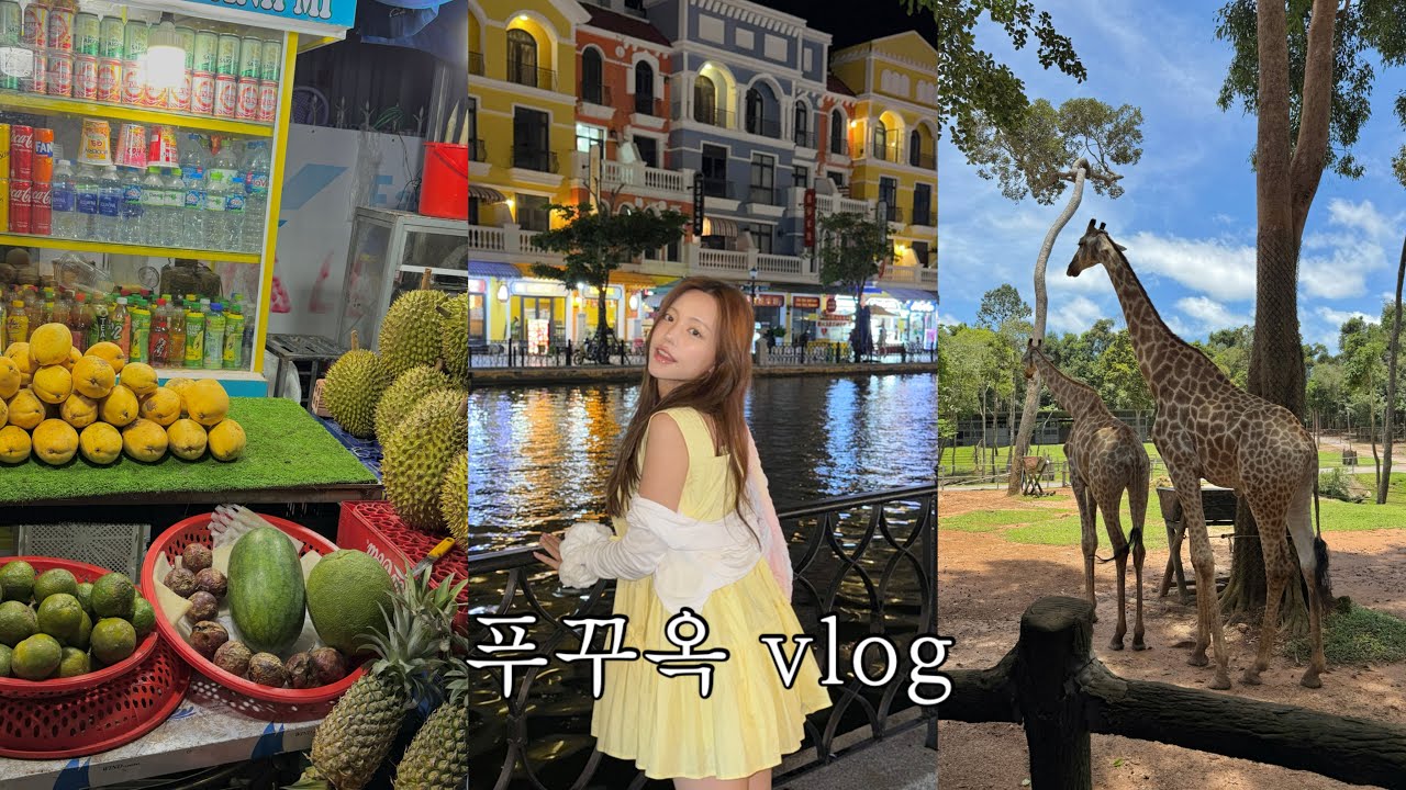 3박4일 푸꾸옥 vlog 🇻🇳 숙소,맛집,마사지,사파리 
