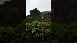 전라남도 진도군  조도면 나배도 비내리는 풍경