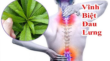 cách trị đau lưng thoái hóa cột sống và thoát vị đĩa đệm tại nhà đơn giản mà hiệu quả nhất