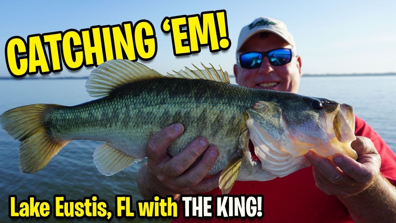 Wacky Rigging Bass Fishing Lake Eustis Florida with the KING Chef Bob