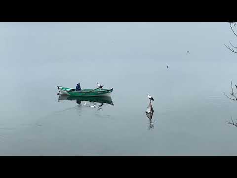 Adem Amca, Yaren ve Nazlı ve ördekler