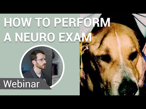 How to Perform