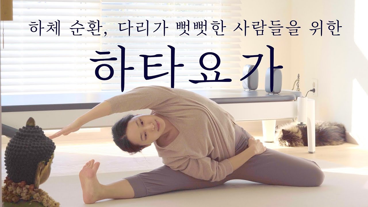 하체가 시원해지는 쉬운 하타요가 • 30분 요가 • 앉아서 편안하게