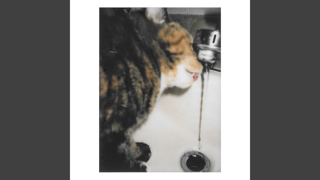 Mira household changes en YouTube Mira household changes en YouTube