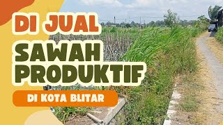 Di Jual Murah Sawah Produktif di Kota Blitar #sawah #sawahblitar #fyp #story  @InfoBursaProperty 