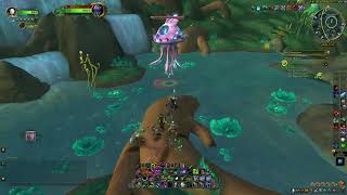 Special Assignment: A Hunter's Regret, WoW Midnight