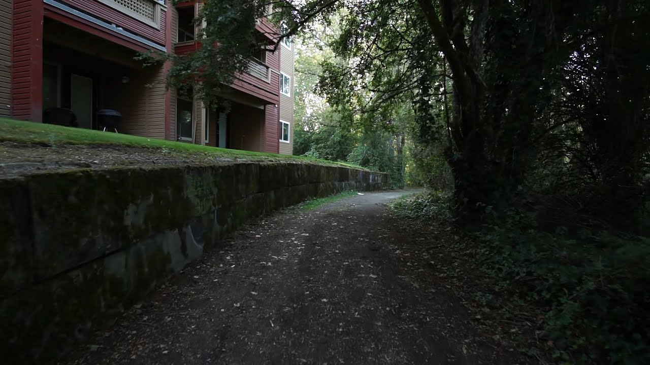 Walking at Seeley Lake Park in Lakewood WA YouTube