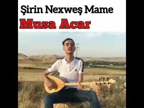 Şirin Nexweş Mame 👑