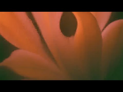 Watch Xul Zolar - Tell Me (Official Video) on YouTube