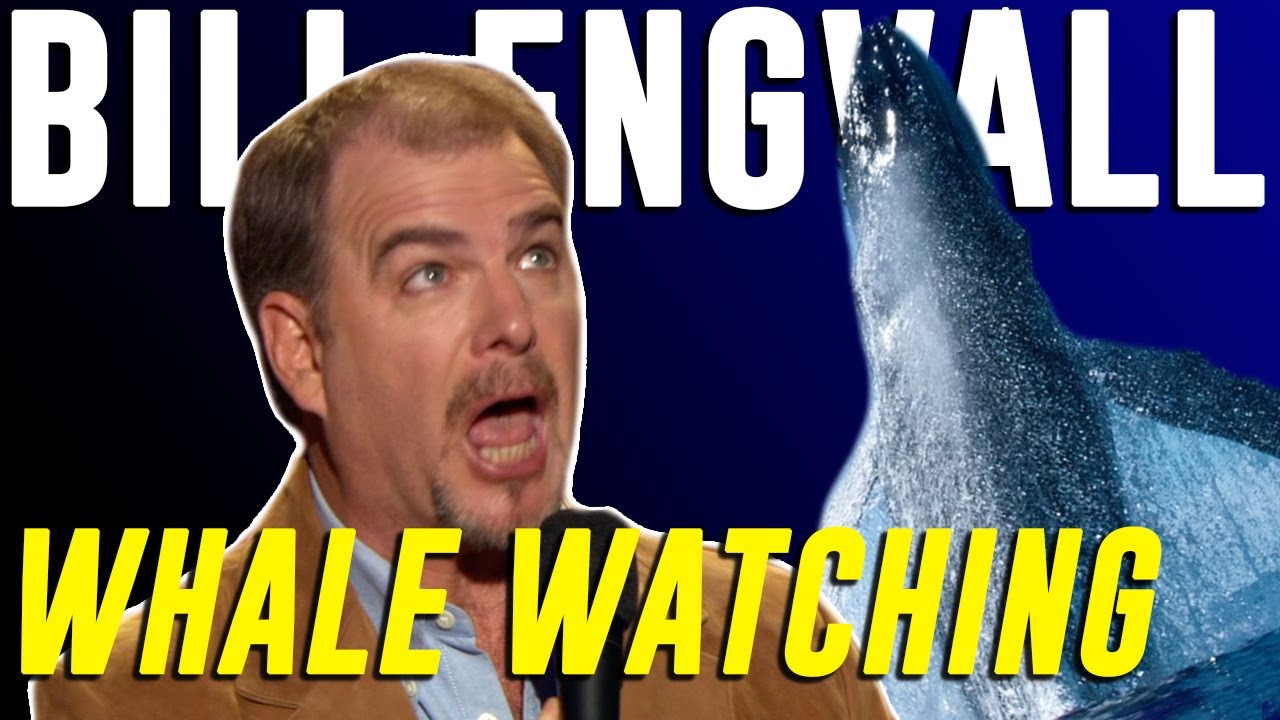 Bill Engvall - Whale Watching pic