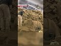 Sand sculptors shape JapanーNHK WORLD-JAPAN NEWS #shorts