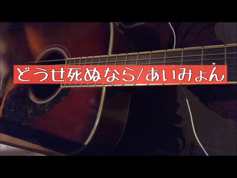 どうせ死ぬなら/あいみょん/うたってみた