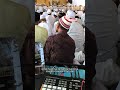 Majlis Dzikir | Maulidurrosul SAW &amp; Haul Akbar Desa Yosowilangun  #vmix #livestreaming