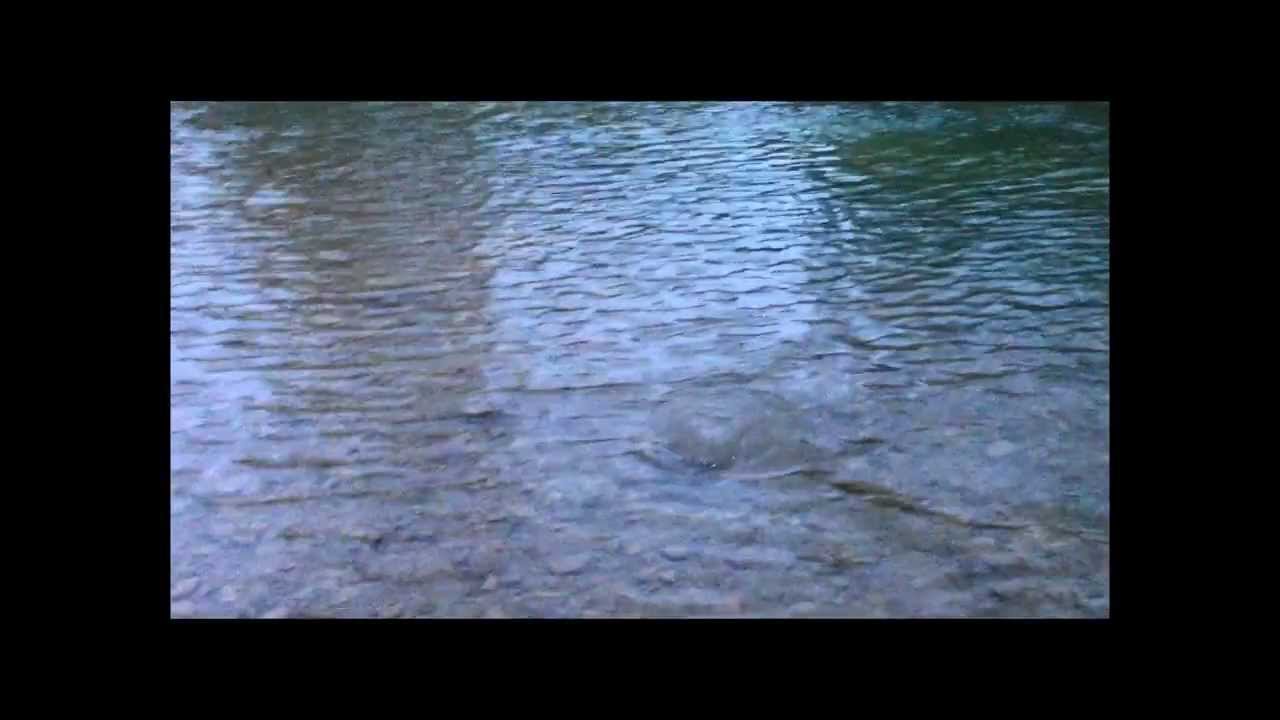 Apple Creek Wooster Ohio Trout Fishing 12/28/13 YouTube