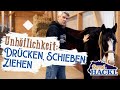 Ref:cfyB-klfOro Warum das pferd schiebt und dr�ckt | bernd hackl erkl�rt!  
