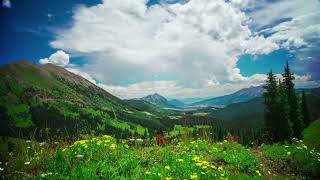 green Nature sounds ,birds singing, relaxing music,calm music screenshot 4