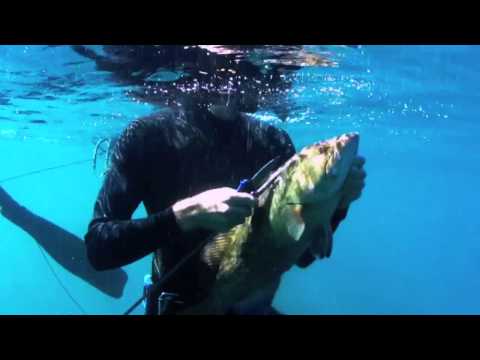 Spearfishing NC Coast, Freediving, "Carolina Days"