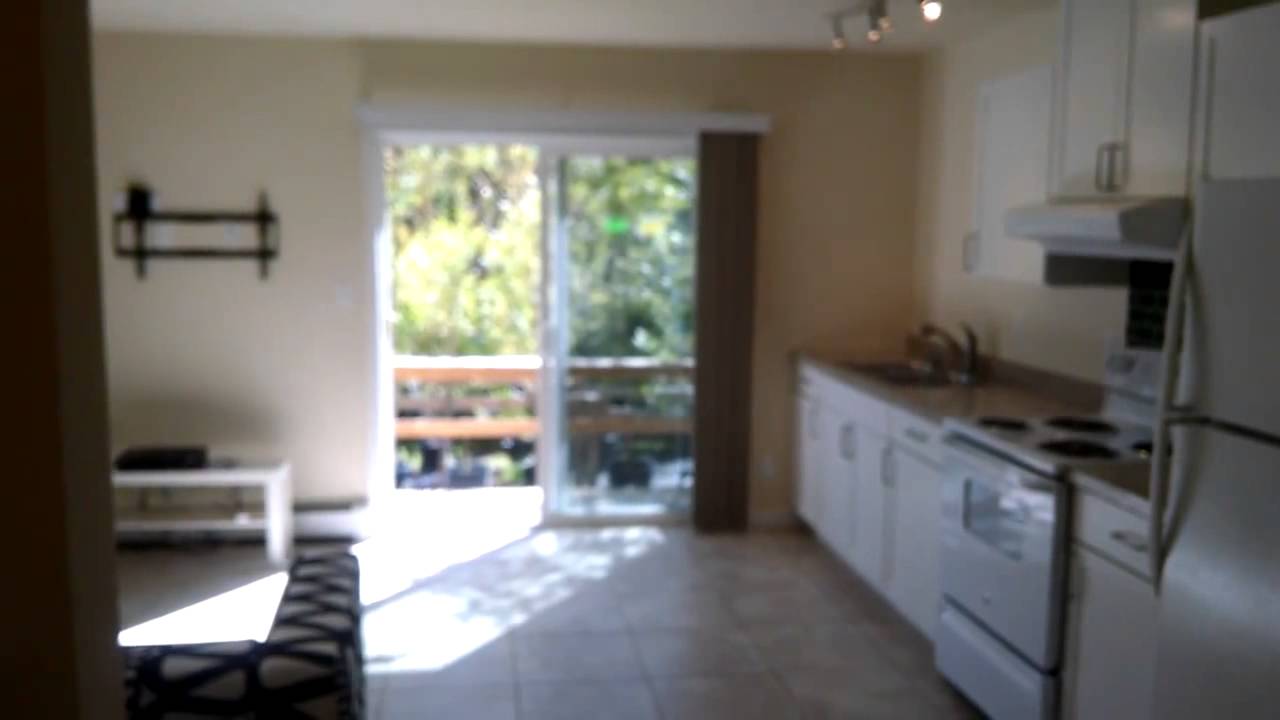 1 Bedroom Modern Open Concept Apartment for rent in Newp Paltz, NY 12561 YouTube