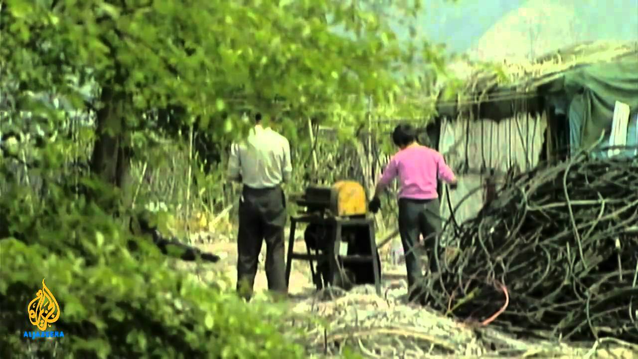 وجوه الصين - موسيقى الهيفي ميتال