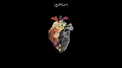 سورة الشرح ... اخفص صوت العالم وارفع صوت القرآن 🖤