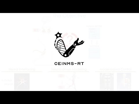 CEINMS RT Hands On Workshop 