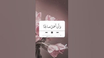 بَسَّمَ ضاحِكًا مِن قَولِها وَقالَ رَبِّ أَوزِعني... ﴾ [النمل: ١٩]. القارئ أحمد العجمي