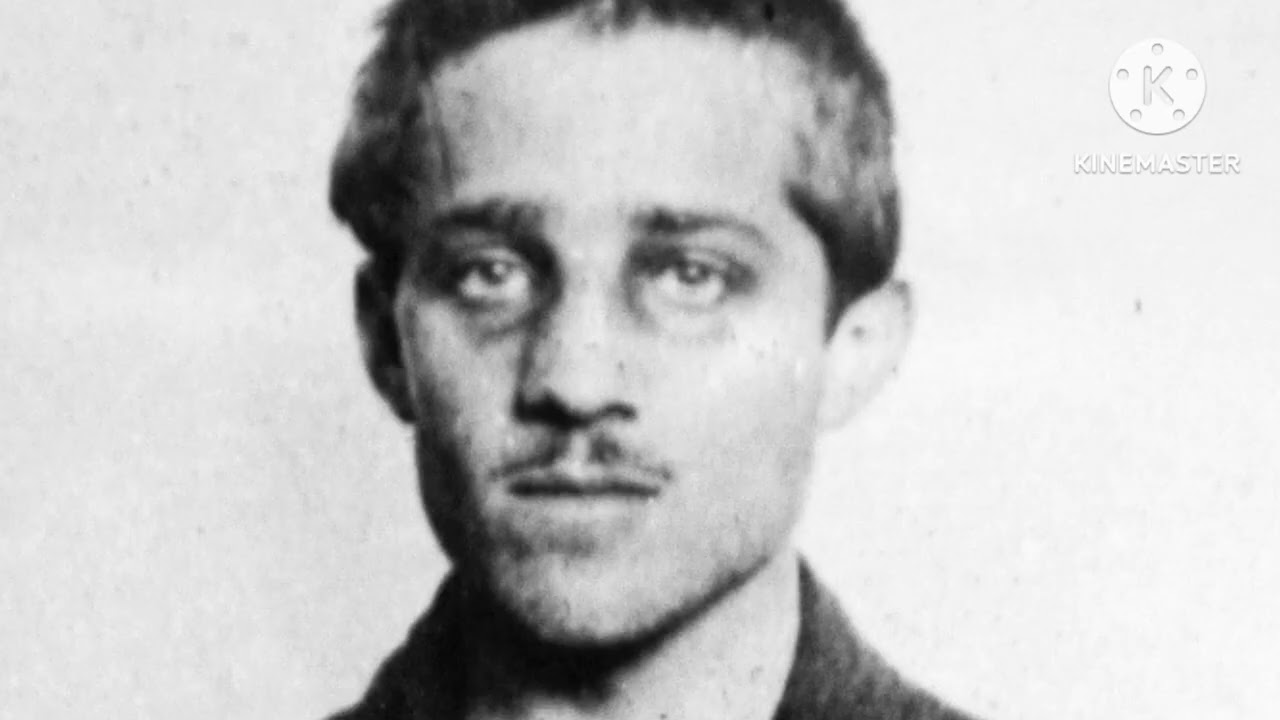 Alliance system and naval race causes of WW1