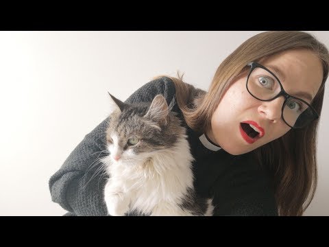 Video: Ragdoll-kissa-kissarotu, Allergiatestattu, Terveydentila Ja Elämä