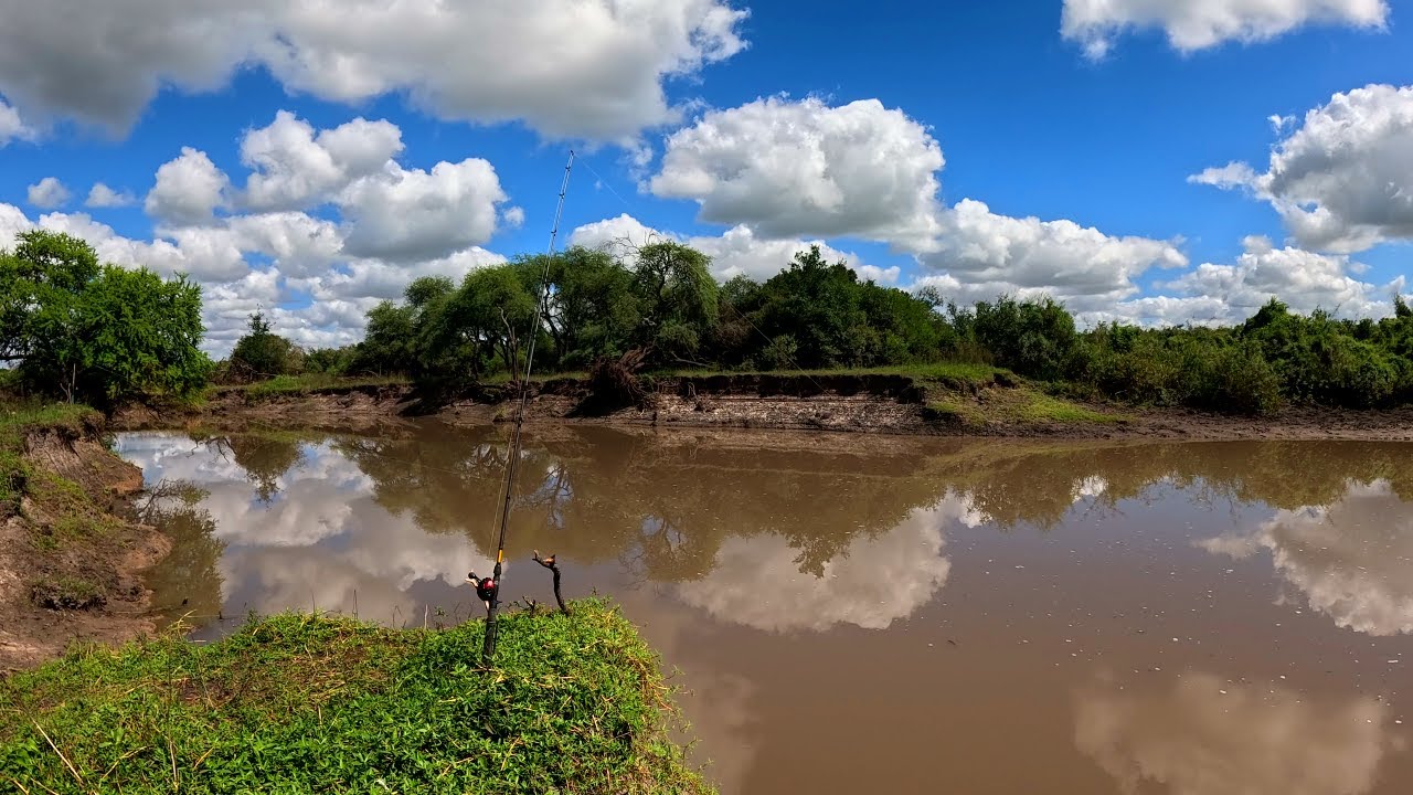 pescando en un rio lleno de peces, mucho pique de tarariras y bagres sapos, pesca de barrio