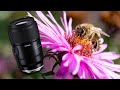 Long awaited Tamron 90mm f/2.8 Macro - will it beat the Sony 90mm f2.8 G lens?