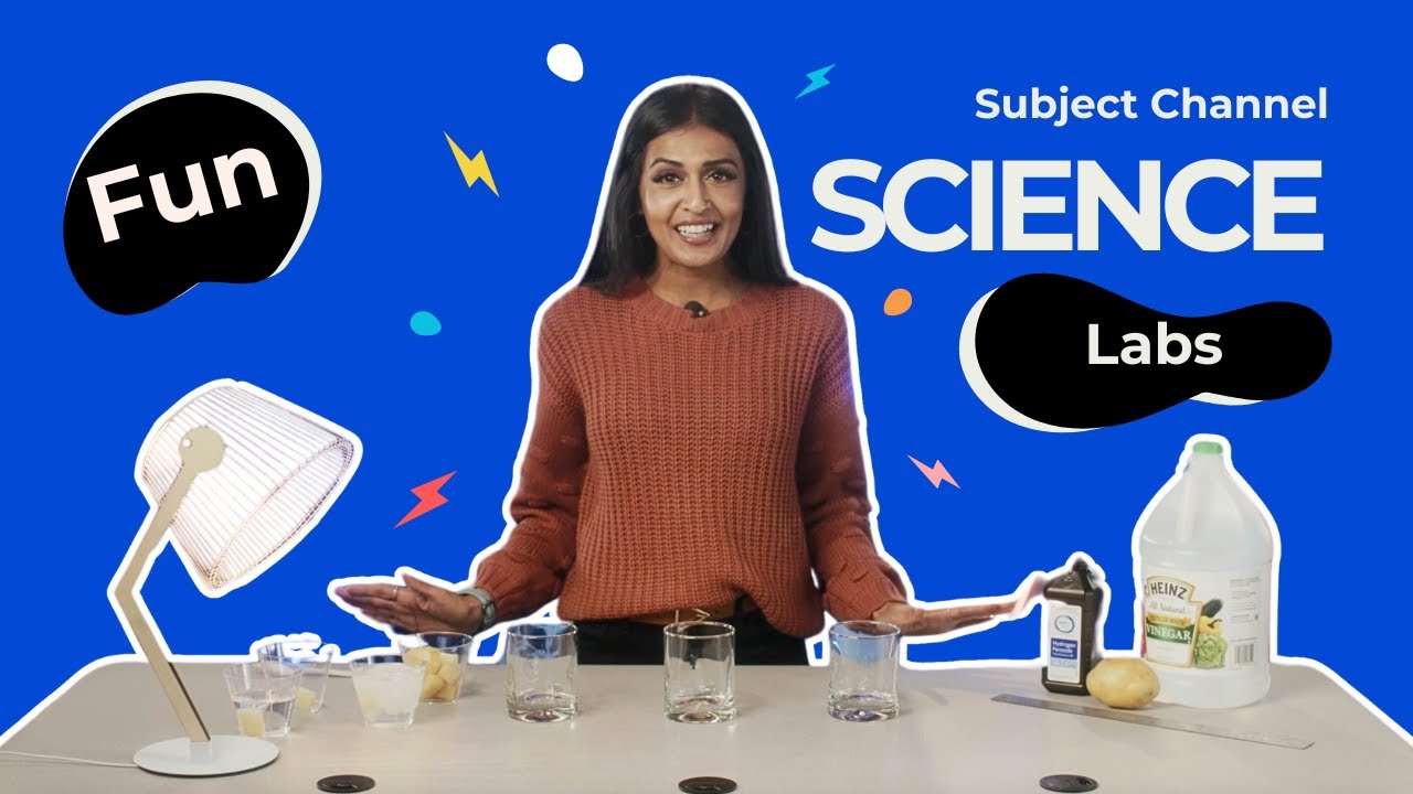 Factors Affecting Enzyme Activity | Subject Labs