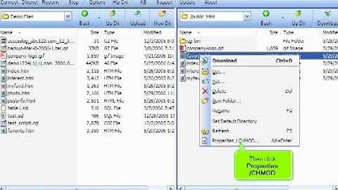 micfo | how to manage your files using FTP Voyager